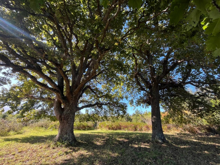  Bedroom Property for Sale in Natures Valley Western Cape